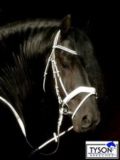 Snow Trense Weiß Voltigieren