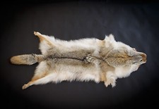 Kanadisches Kojotenfell - Qualität A | Pelz Fell Echtfell Coyotenfell Kojote