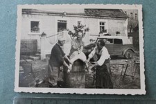 Foto Photo 121405 WK2 VW Volkswagen Kübelwagen Verdeck Männer schlachten Schwein