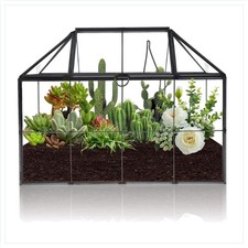 Elegantes 23 cm Terrarium aus
