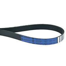 Keilrippenriemen AEG