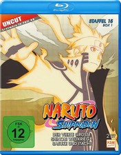 Naruto Shippuden - Die komplette Staffel 15, Box 1 [2 Discs]