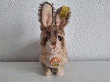 Steiff Hase Pummy 2315,05 60er
