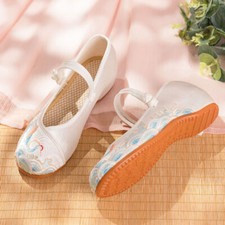 Cheongsam-Schuhe Einzelne