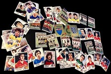 PANINI EURO 84 FRANCE