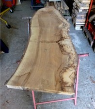 Walnuss Nussbaum Bohlen