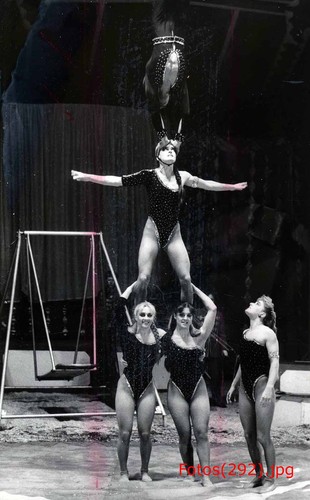 Circus williams althoff - circus, 5