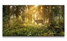 120x60cm Leinwandbild Wald