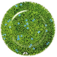 Taitù Prati Italiani - Teller