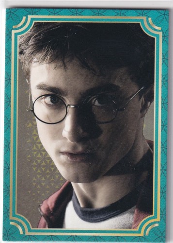 Panini harry potter evolution - panini,