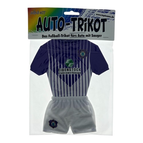 Erzgebirge aue mini - fc,