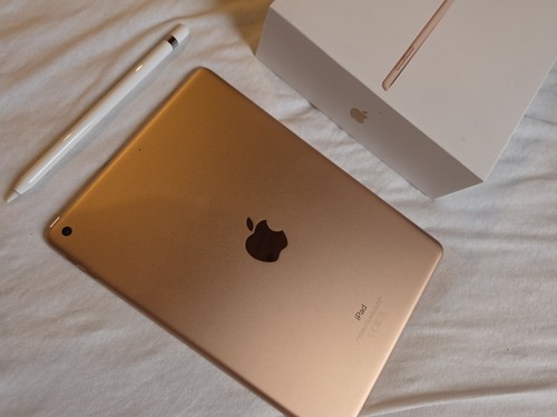 Apple ipad roségold - apple, gb