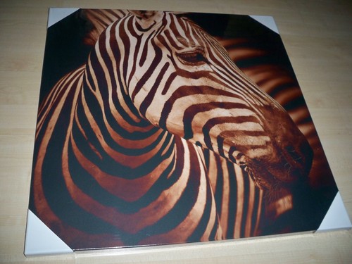 Bild canvas print zebra - bild,