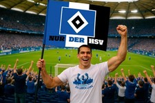Hamburger SV, HSV Logo Raute