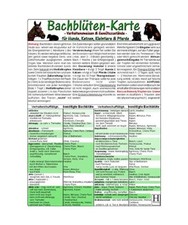 Bachblüten-Karte für Hunde, Katzen, Kleintiere und Pferde. DIN A5: Verhaltensw