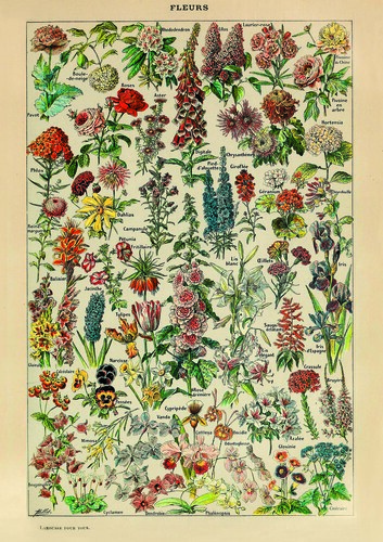 Puzzle fleurs - puzzle, t.)