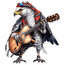 Autoaufkleber Sticker Gitarren