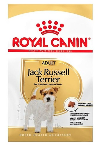 Royal canin jack russell - jack,