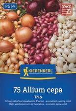 Kiepenkerl Steckzwiebel-Trio