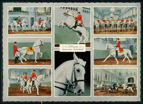 Spanische hofreitschule - -,