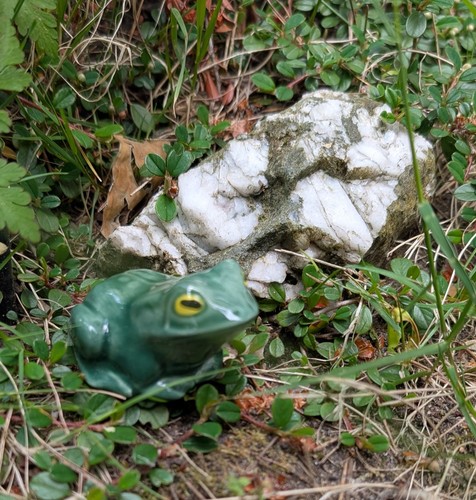 Frosch klein mini keramik - klein,