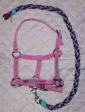 STRASS MINISHETTY