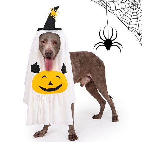 Halloween hundekleidung - halloween, m