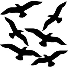 Aufkleber vogel - aufkleber,