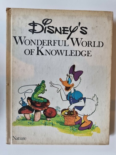 Disney wonderful world - disney's,