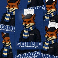 100x Schalke Aufkleber/