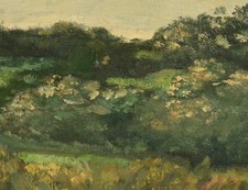 Sommerliche Landschaft |