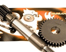 Getriebe sekundär MALOSSI HTQ 15/41 Z, kompatibel für Gilera Typhoon 125 Roller