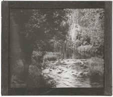 Landschaft, Natur, Fluss, Foto