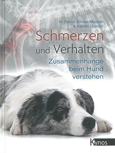 Schmerzen und verhalten - und,