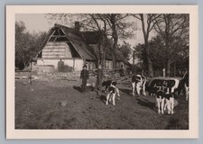 Regerade near Niebüll 1965 -
