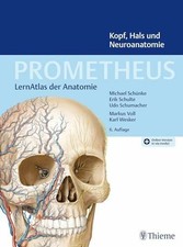 PROMETHEUS Kopf, Hals und