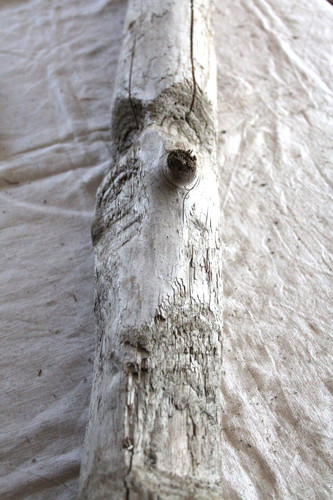 Schwemmholz treibholz xxl - treibholz,