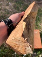 Eibe Eibenholz 900g trocken