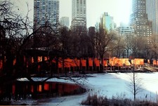 CHRISTO - THE GATES - NEW YORK CENTRAL PARK                         ( J-3006/0 )