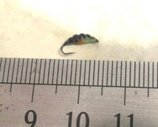 EISANGELN.1St.MORMYSCHKA