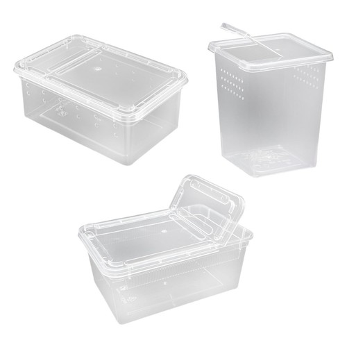 Futterbox für reptilien - futterbox,