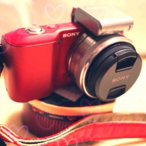 Sony nex spiegellose kamera - sony,