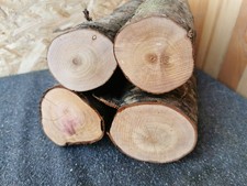 4× Mirabelle Drechselholz