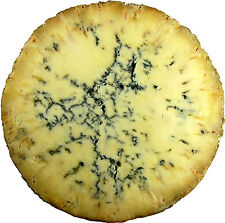 Blue Stilton der Klassiker