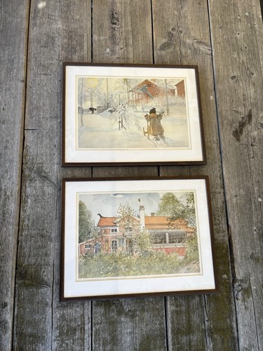 Carl larsson paar - carl,