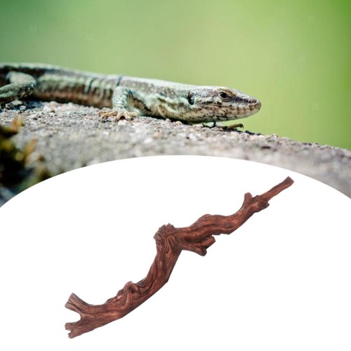 Reptilien ecke kletterzweig - reptilien-ecke,,