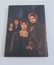 Twilight Breaking Dawn: Biss