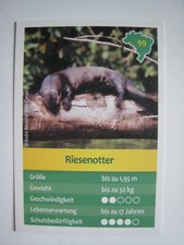 Entdecke Brasilien -