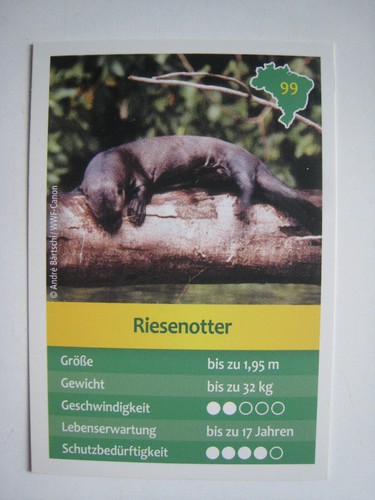 Entdecke brasilien - entdecke,
