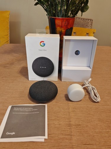 Google nest mini - nest,